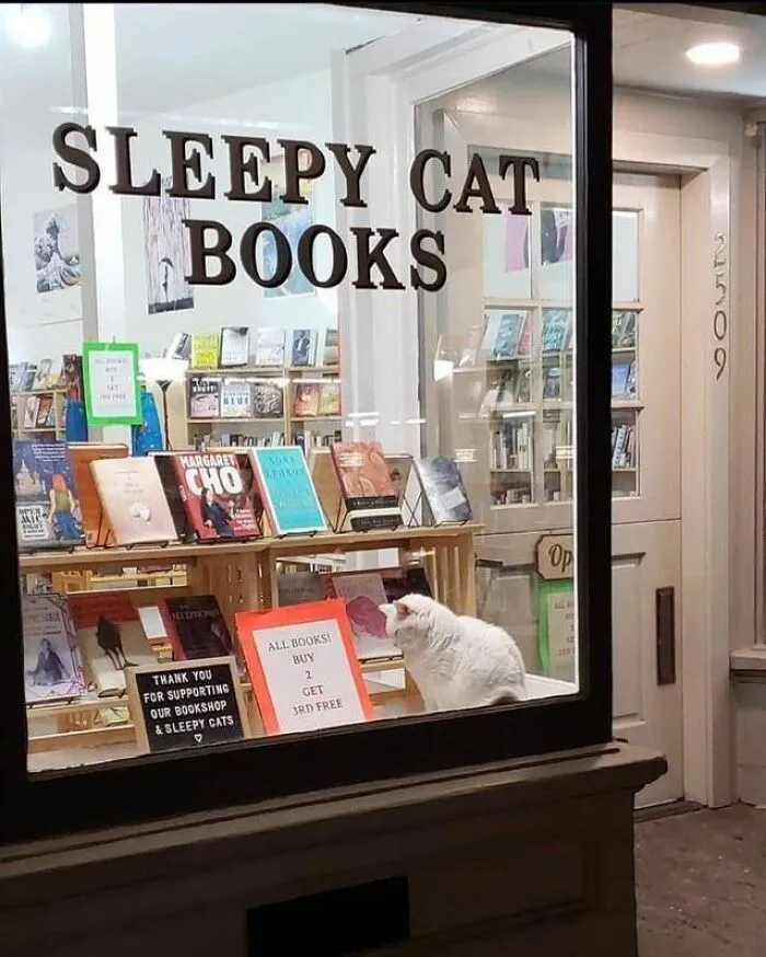 44 Times Cats Took On Real Jobs With Very Questionable Work Ethics, As Shared By This Page