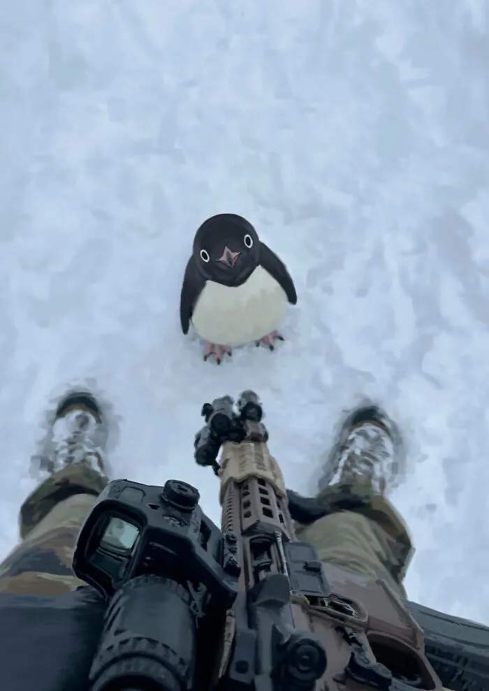 Small penguin standing on snow near a person with a rifle animals comedy