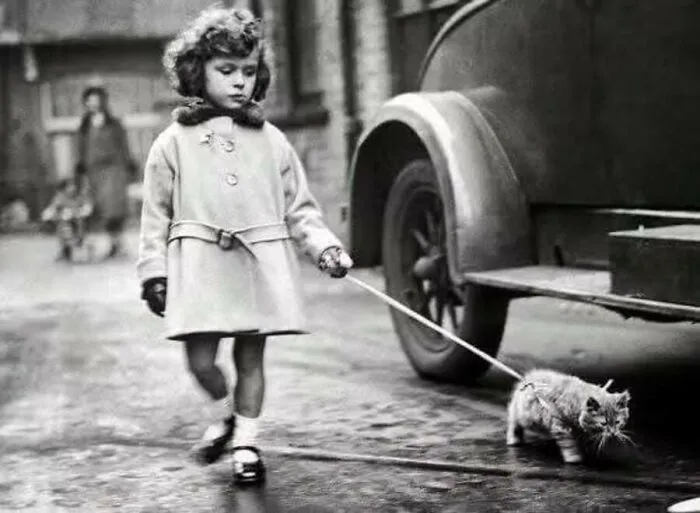 A little girl walking her kitten on a leash next to a car, featured in vintage cat photos.