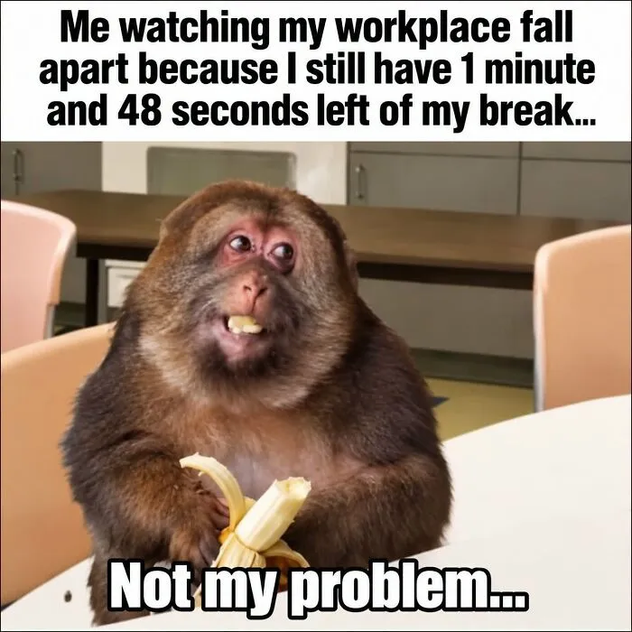 36 Funny Memes With A Side Of Sarcasm As It’s The Only Way To Cope With Having To Work