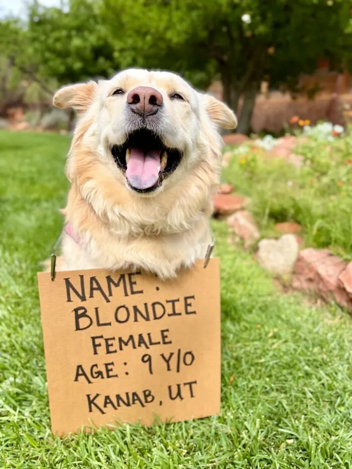 Blondie