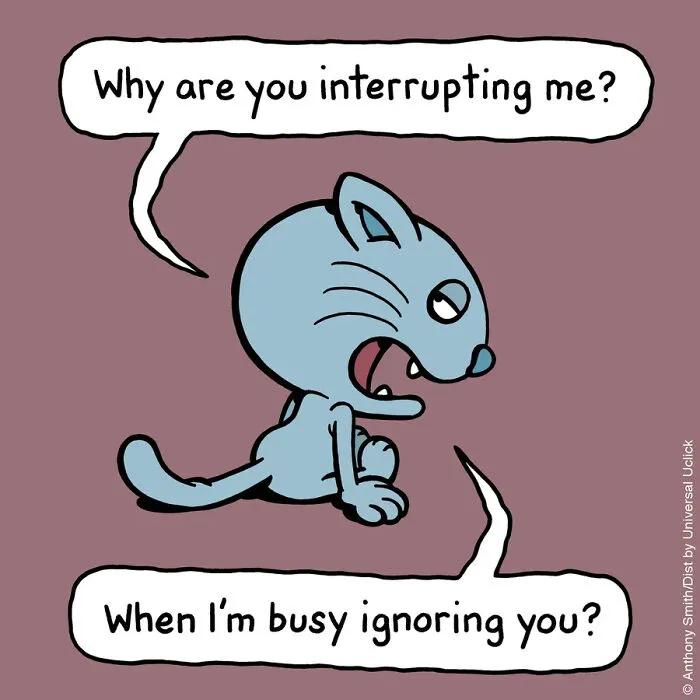 ‘Cattitude’: 30 New Funny Comics By This Artist Showcasing Daily Struggles In A Cat’s Life