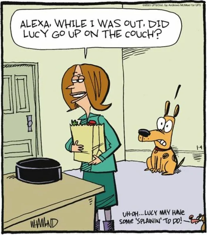 Comic with woman asking Alexa if dog Lucy went on the couch in a clever comic style