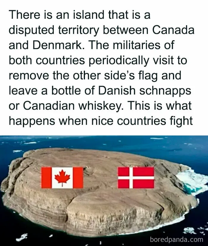 Roses Are Red, Are We Doing This Right?