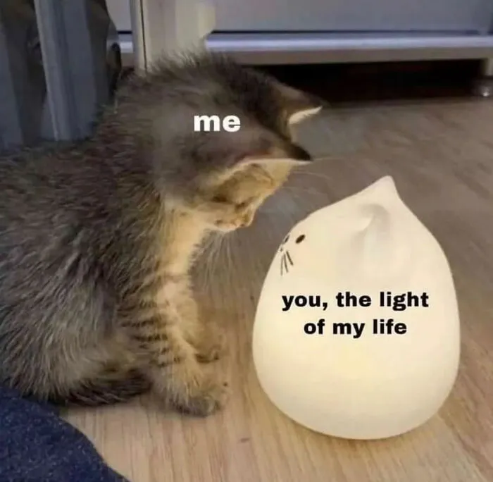 80 Tiny Doses Of Wholesomeness For When You Need Something Nice On Your Feed