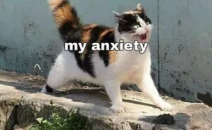 48 Of The Funniest Cat Memes Shared By This Page That Are Impossible Not To Laugh At