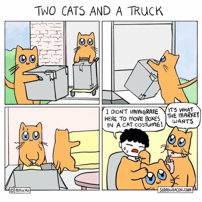 Artist creates comics about cats moving boxes, a funny twist on life's random things.