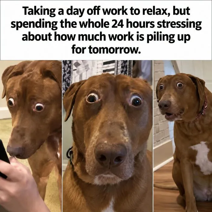 36 Funny Memes With A Side Of Sarcasm As It’s The Only Way To Cope With Having To Work