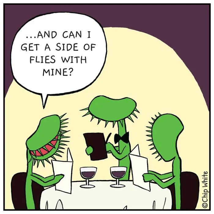 Venus flytrap plants ordering at a restaurant with flies in a witty blob life comic scene.