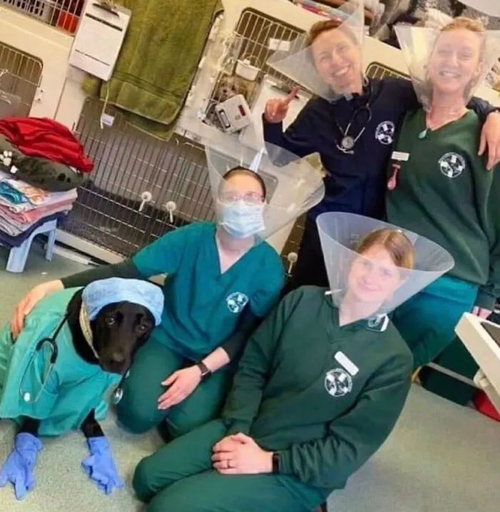 Veterinary team with a dog dressed as a medical professional
