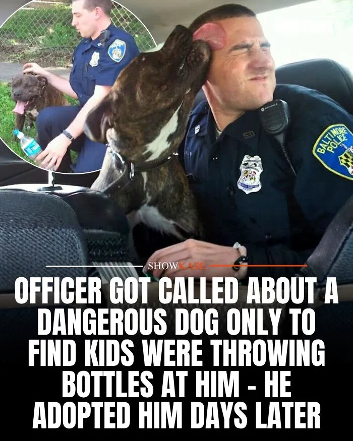 A police officer adopts a dog he saved, creating a heartwarming wholesome story.