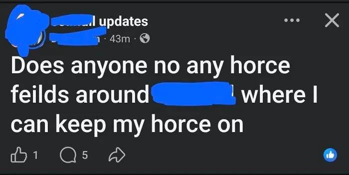 A Facebook post asking for horce feilds highlighting funny grammar fails online.
