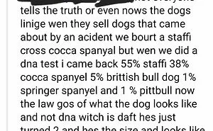 73 Hilarious Screenshots That Prove Not Everyone Paid Attention In English Class