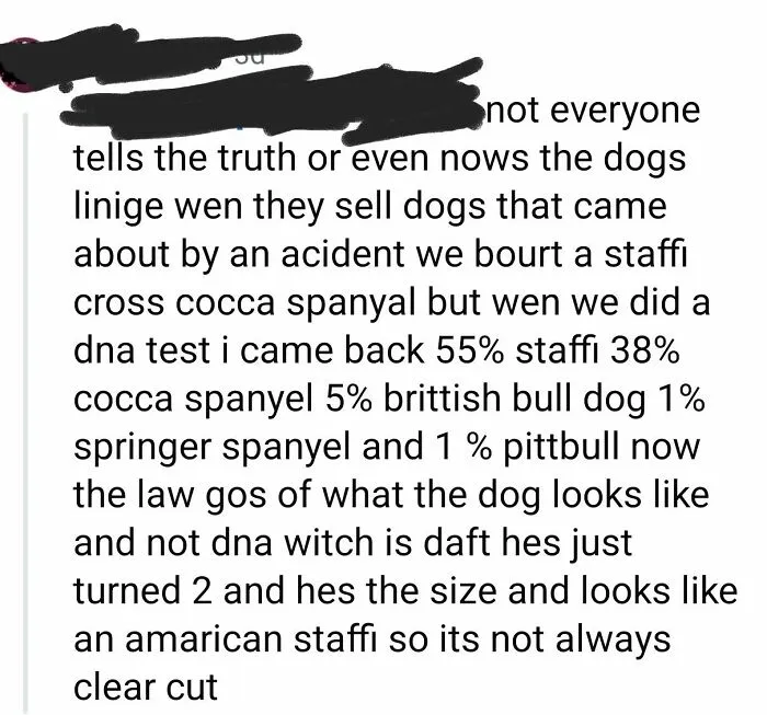 A social media comment showing funny spelling and grammar fails about dogs