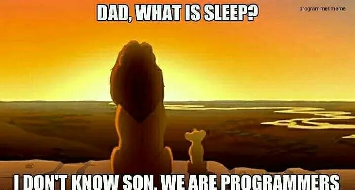 Programmers meme about not knowing what sleep is with Lion King scene
