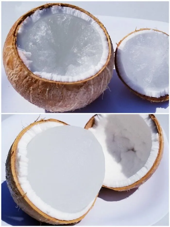 A cool photo showing what happens if a coconut is frozen and split open, revealing frozen coconut water.