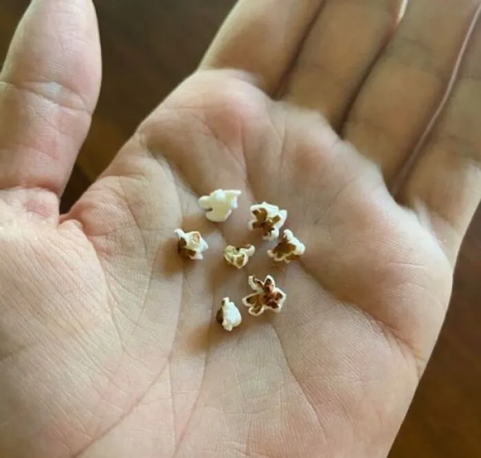 Interesting and cool photos of tiny micro popcorn pieces sitting in the palm of a hand