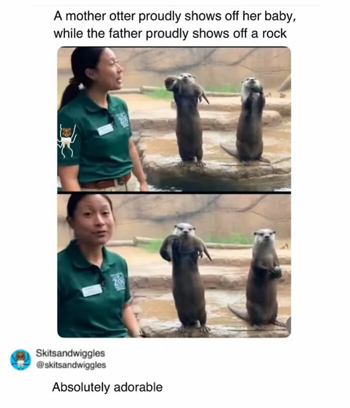 73 Funny And Chaotic Memes For When Life Gets Too Serious