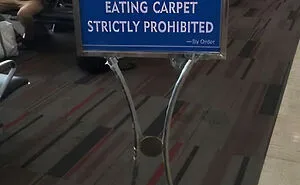 97 Funny Signs People Found In The Wild And Had To Photograph