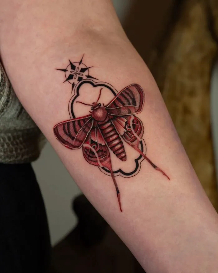 Moth tattoo with intricate details nature ink on forearm