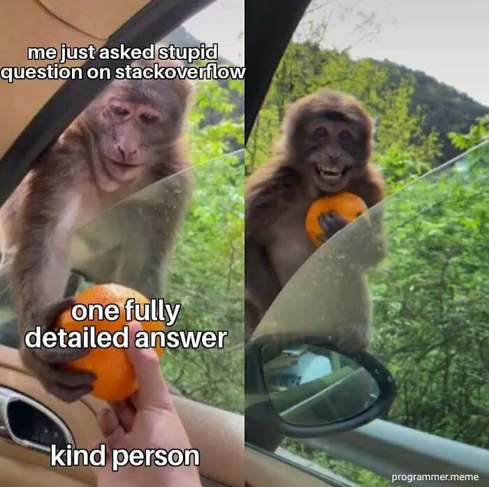 Kind monkey giving an orange as detailed answer on StackOverflow meme