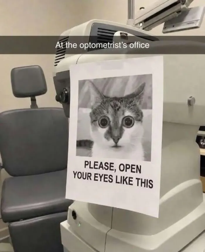 97 Funny Signs People Found In The Wild And Had To Photograph