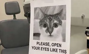 97 Funny Signs People Found In The Wild And Had To Photograph