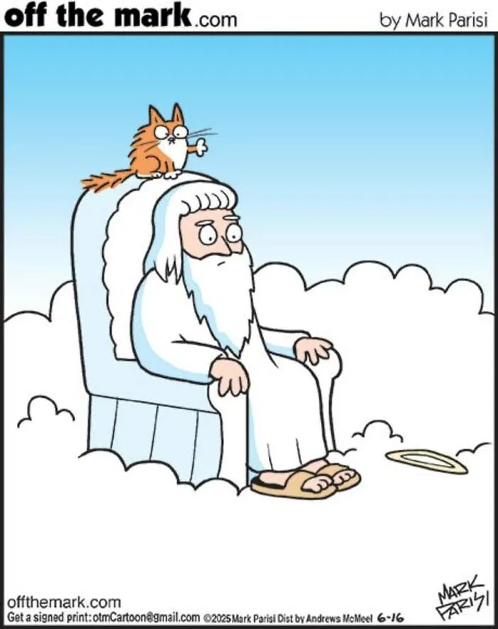 A funny comic by Mark Parisi showing God in heaven with an orange cat sitting on his head.