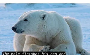 65 Memes That Are Funny Because They’re A Little Too Accurate