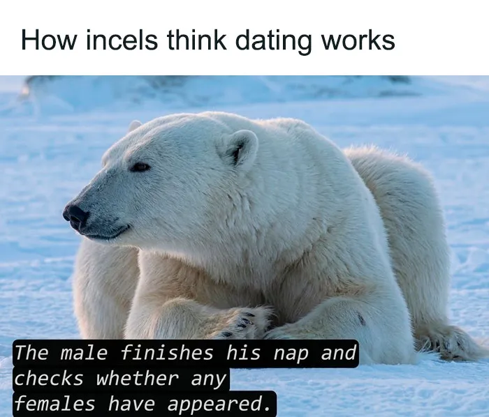 65 Memes That Are Funny Because They’re A Little Too Accurate