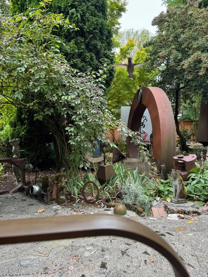 Garden scene with birds and outdoor sculptures surrounded by greenery in wildlife setting