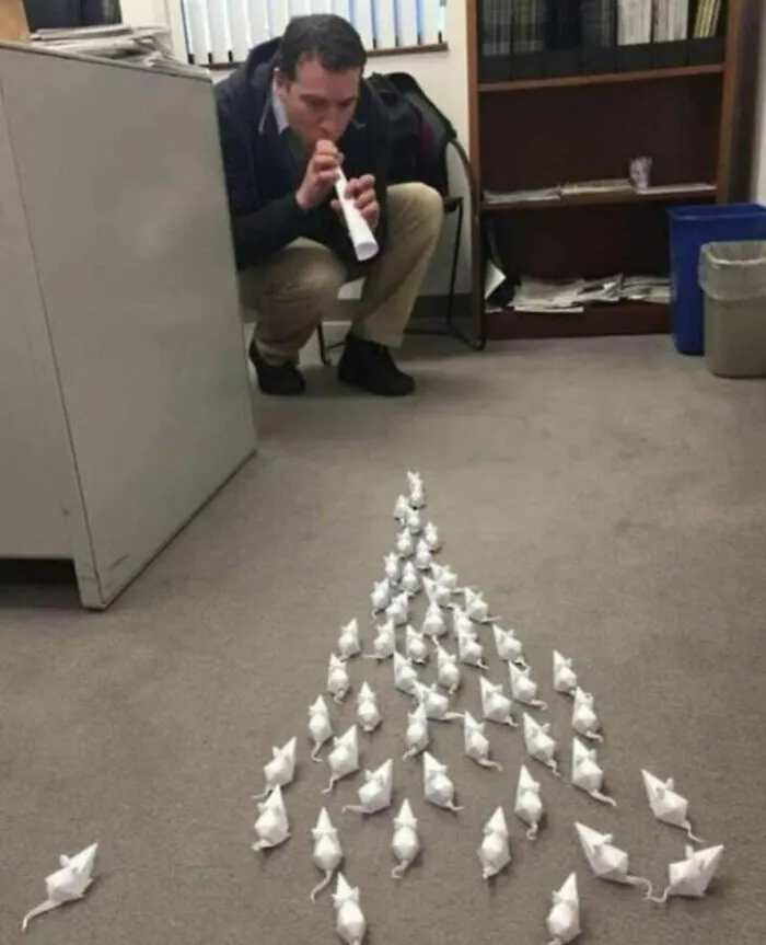 118 Pics That Make You Wonder What Happened Five Seconds Before The Photo Was Taken