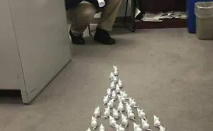 118 Pics That Make You Wonder What Happened Five Seconds Before The Photo Was Taken