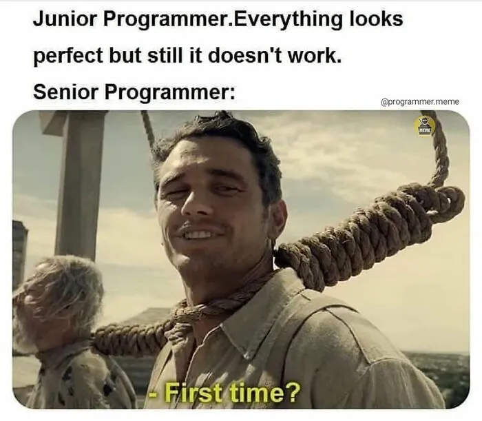 Junior and senior programmer meme about code that looks perfect but doesn't work