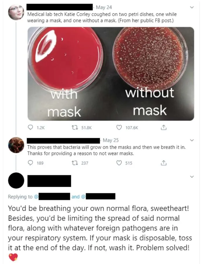 Social media thread misunderstanding bacterial growth on masks with petri dish images