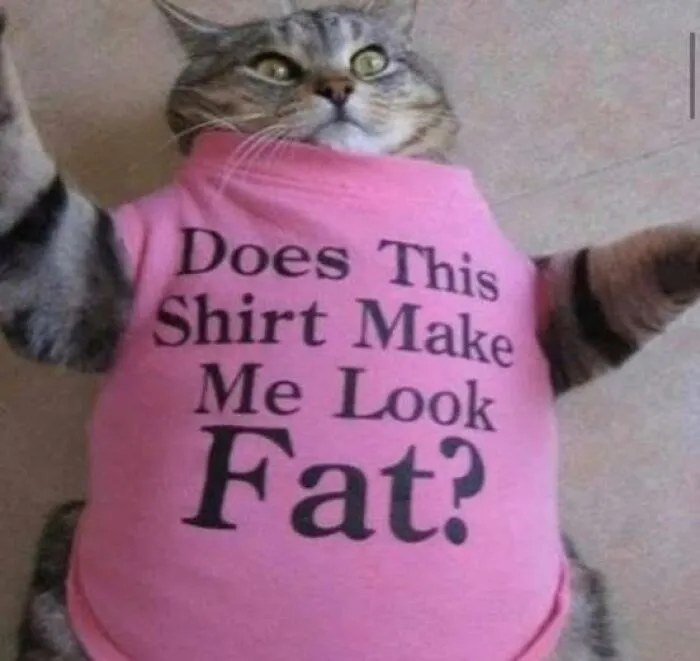 61 Ridiculous And Unhinged T-Shirts That Might Make You Wonder Who Made Them