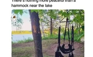 73 Funny And Chaotic Memes For When Life Gets Too Serious