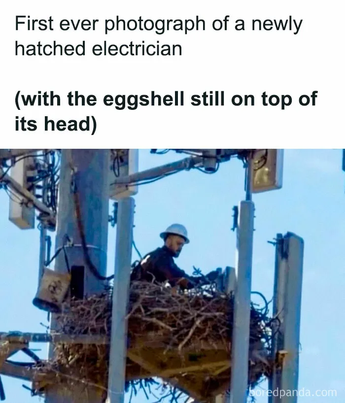 Roses Are Red And Poppies Are Also Red…