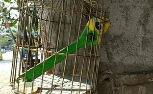 118 Pics That Make You Wonder What Happened Five Seconds Before The Photo Was Taken