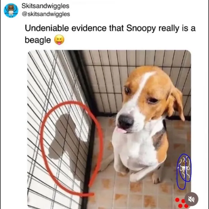 73 Funny And Chaotic Memes For When Life Gets Too Serious
