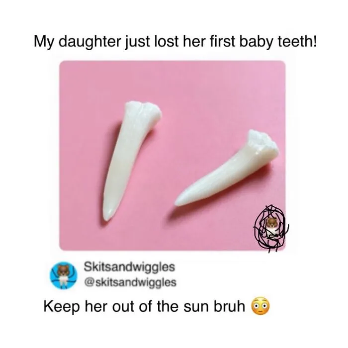 73 Funny And Chaotic Memes For When Life Gets Too Serious