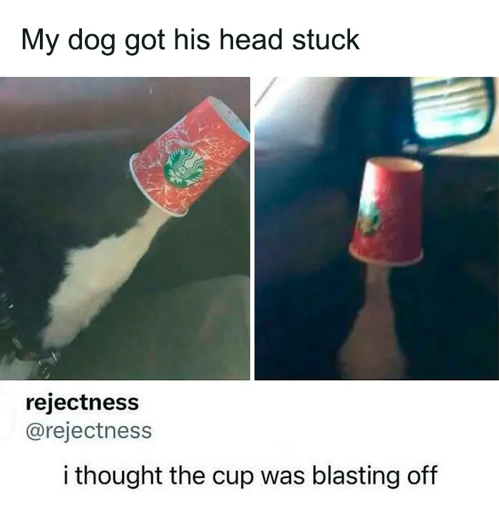 Roses Are Red, You'd Likely Scoff,