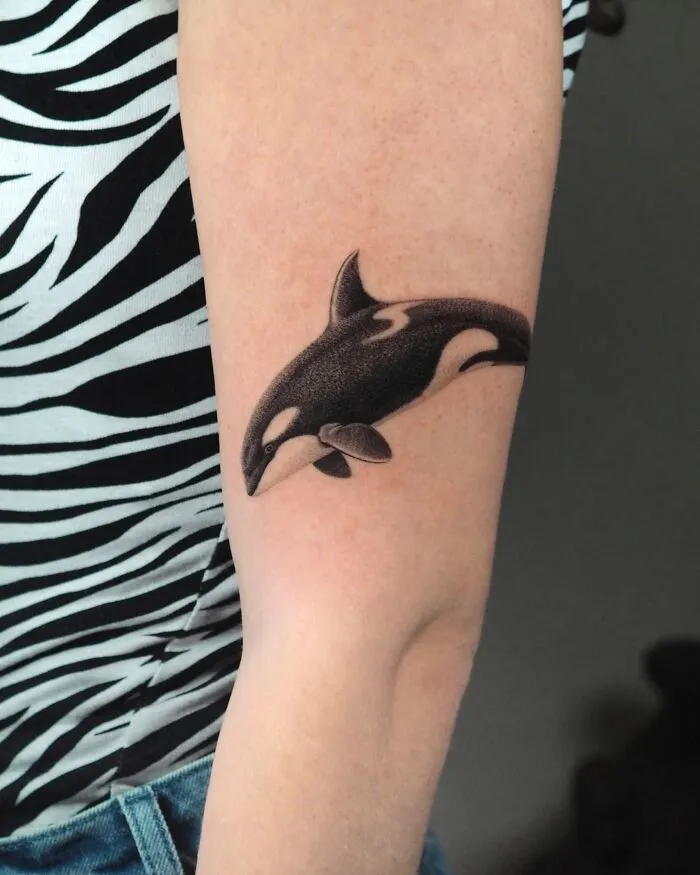 Black ink orca whale tattoo on arm