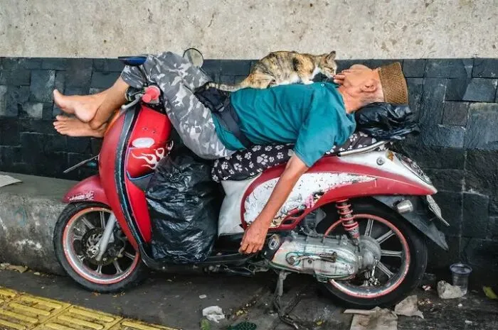 This Street Photographer Took 26 Pics Capturing Animals’ Odd And Hilarious Moments