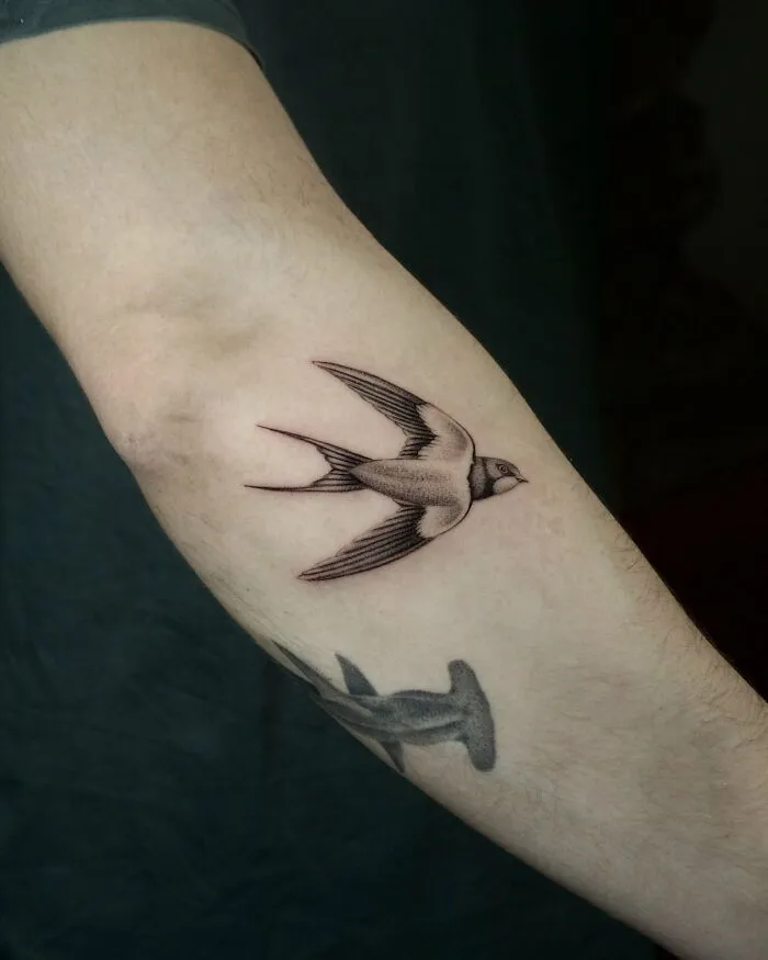 Realistic black ink swallow bird tattoo on forearm