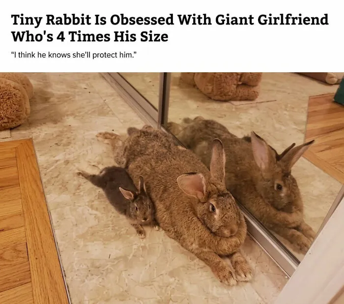 Roses Are Red, I Won A Prize