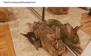 Roses Are Red, Here Are 48 Posts That Turned A Little Dark Instead