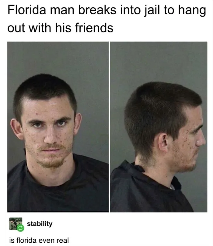 Roses Are Red, The Cycle Never Ends
