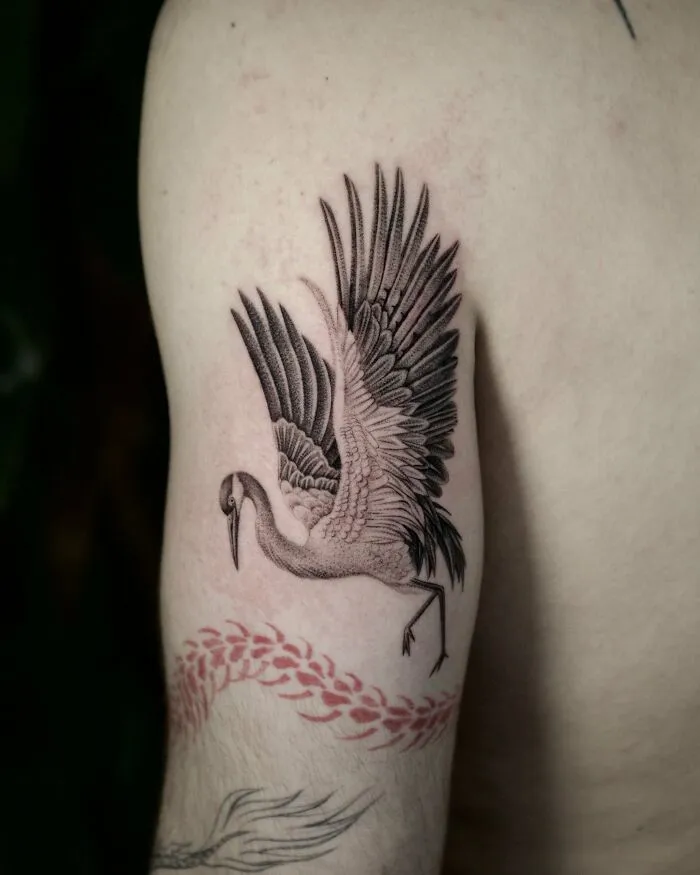 Black and grey crane bird tattoo on arm nature ink with fine details