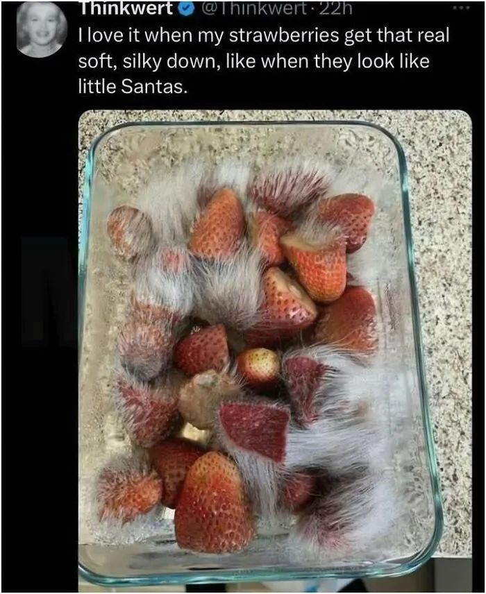 Funny-Relatable-Decentralized-Teens-Memes